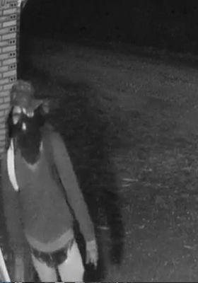 Roubo a duas casas no interior de Mallet, cameras de segurança registraram um dos envolvidos