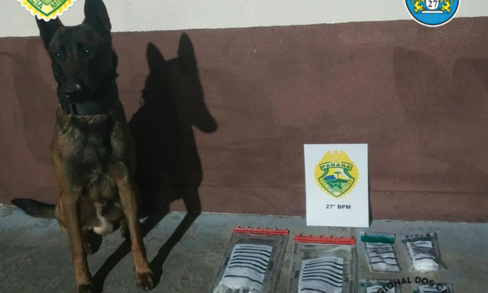 Homem é preso por tráfico de drogas com auxílio de cão farejador em União da Vitória