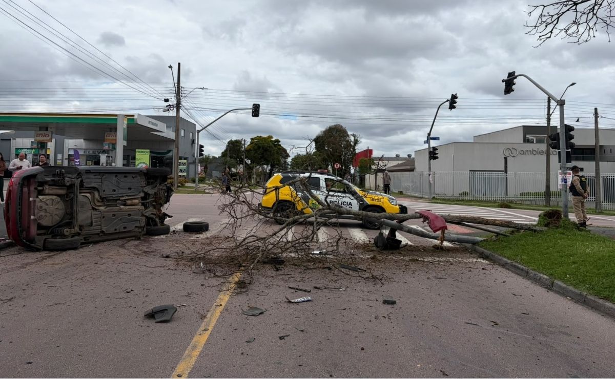 Carro capota e derruba árvore após acidente de trânsito em Curitiba