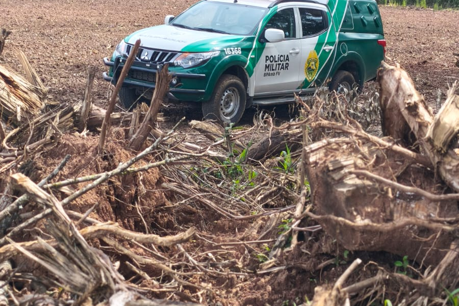Polícia Militar autua proprietário por supressão de vegetação em Paula Freitas