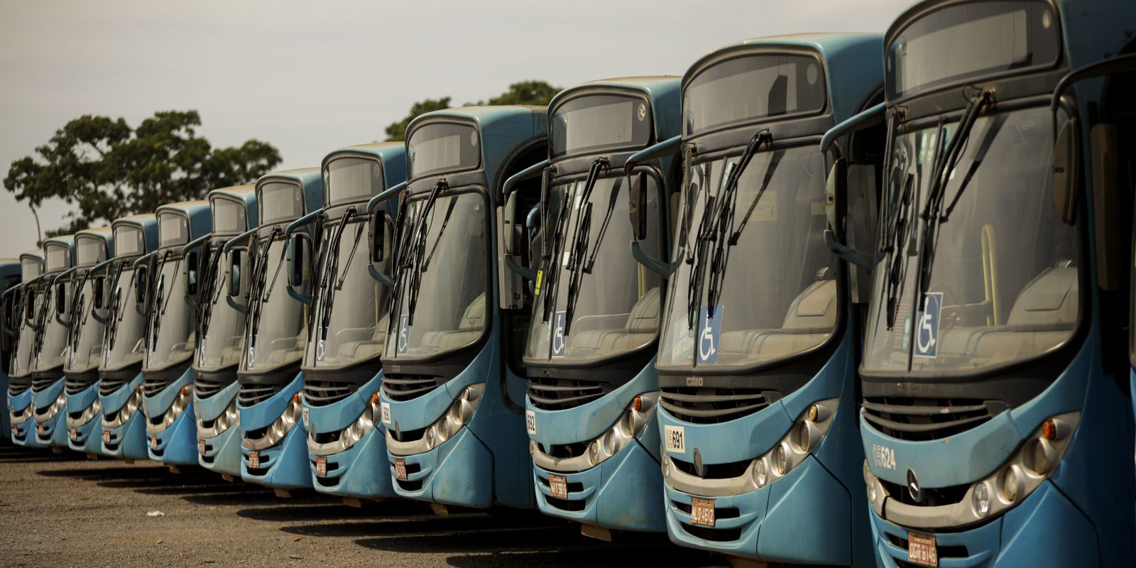 Tre-ba determina retorno integral do transporte público em salvador com multa