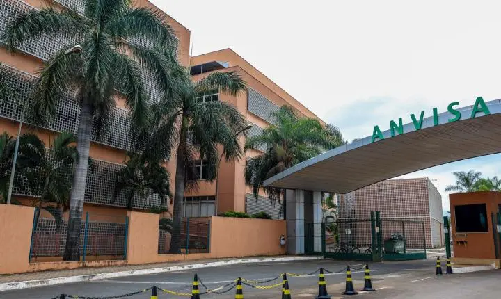 Anvisa: suplementos com cúrcuma podem trazer risco de danos ao fígado