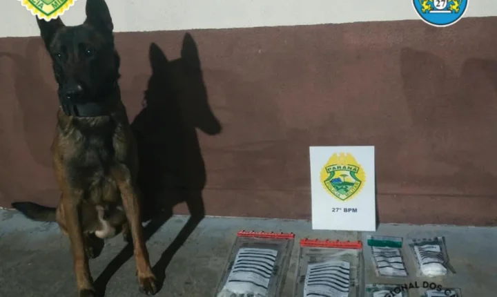 Homem é preso por tráfico de drogas com auxílio de cão farejador em União da Vitória