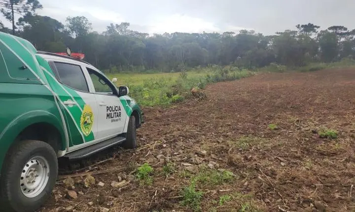 Polícia Ambiental autua desmatamento ilegal para cultivo de tabaco em Mallet