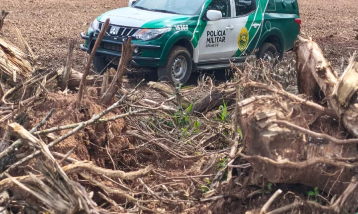 Polícia Militar autua proprietário por supressão de vegetação em Paula Freitas